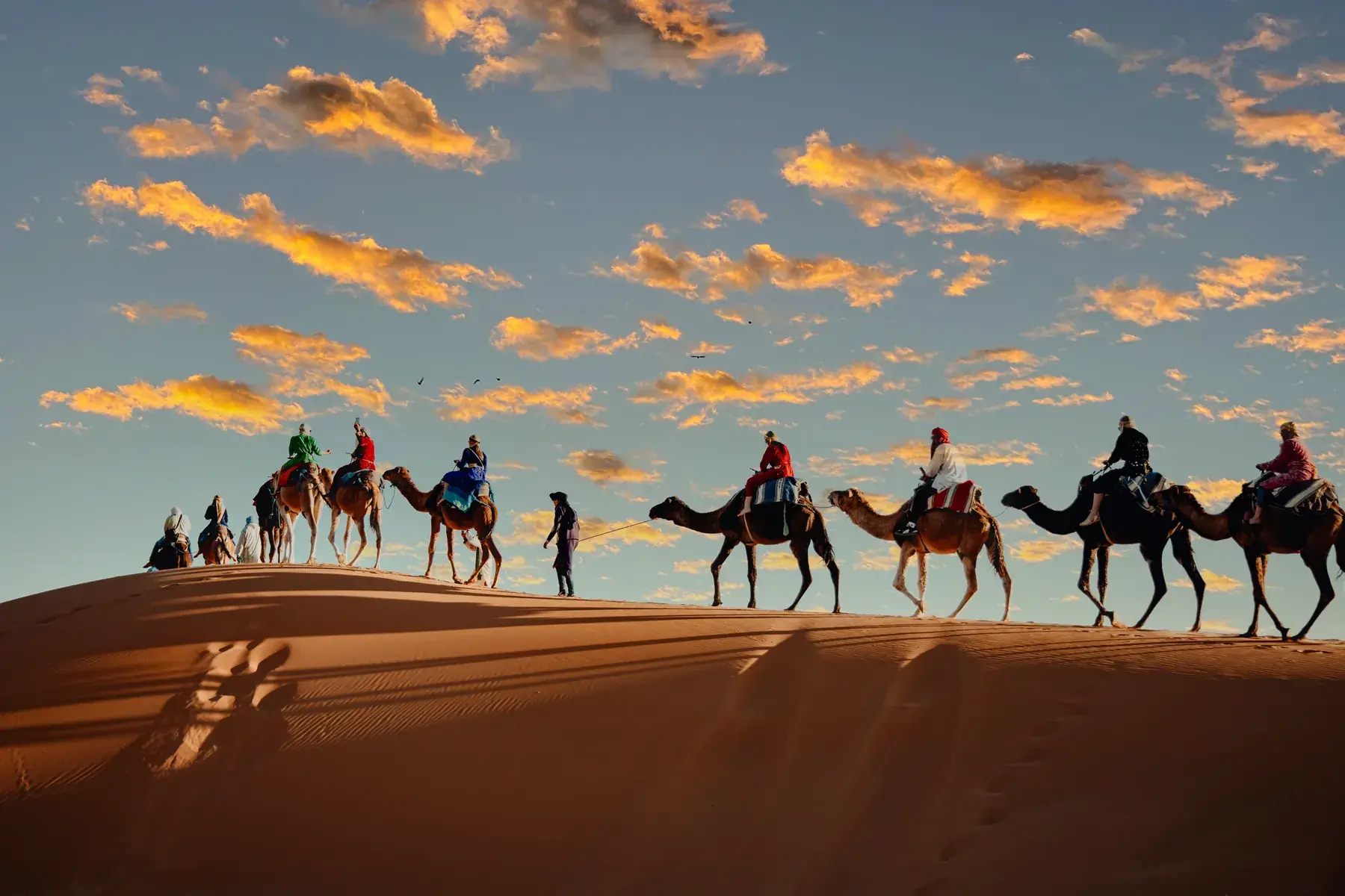 Camel caravan crossing the Erg Chebbi dunes at sunset near Merzouga